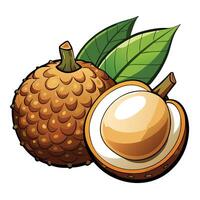an image of a lychee fruit with leaves vector