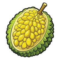 a durian fruit is shown on white background white background vector