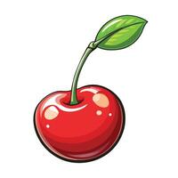 a red cherry with green leaf on , white background vector