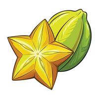cocoa pod and star fruit illustration isolated on white background vector