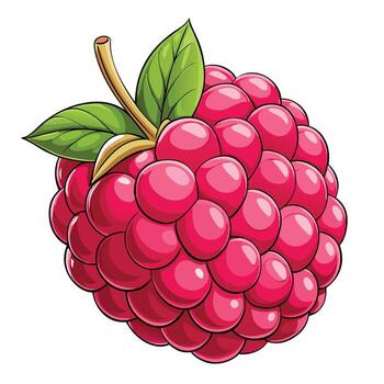 a raspberry is shown with leaves on vector