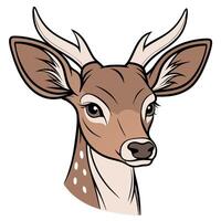 a deer head with horns and antlers ,white background vector