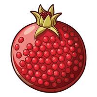 a pomegranate is shown , in cartoon style vector