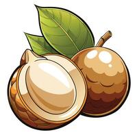 an open and half nut with leaves on a white background vector