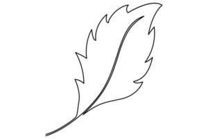 Continuous one line drawing of Leaf Isolated on white background art illustration vector
