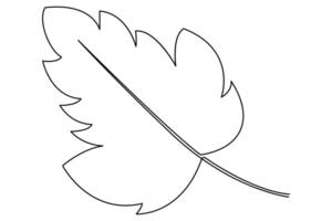 Continuous one line drawing Leaf art illustration vector