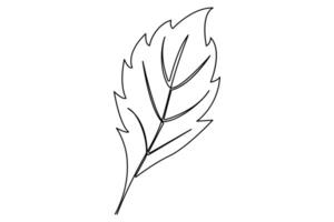 Continuous one line drawing of Leaf concept isolated art illustration vector
