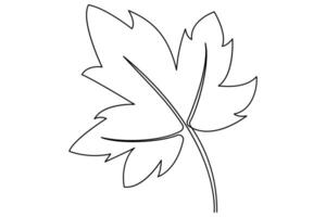 Leaf single line art drawing continuous art isolated on white minimalist style vector