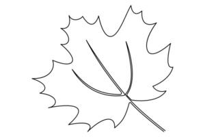 Leaf symbol icon single line art drawing outline illustration vector