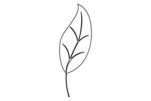 Continuous line drawing of Leaf concept single line art illustration vector
