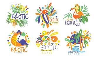Set of contour logos with lettering and exotic objects. illustration. vector