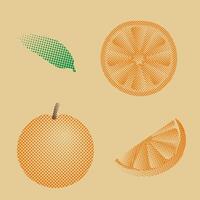 orange and its parts in pixel art style, retro style vector