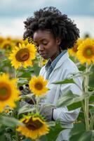 A woman in a lab coat is standing in a field of sunflowers photo