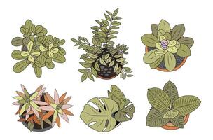 Set of different house plants top view. vector