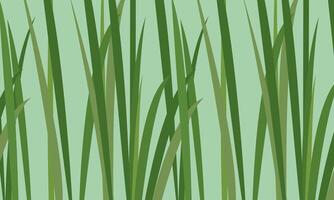 Green Grass Pattern, Natural Botanical background illustration. vector