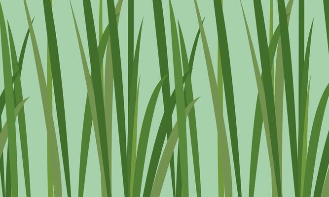 Green Grass Pattern, Natural Botanical background illustration.