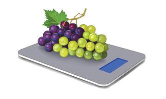 Grape Vine Kilo Scale, Illustration, isolated on a white background. vector