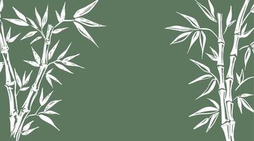 Bamboo tree, frame, Hand drawn style. vector