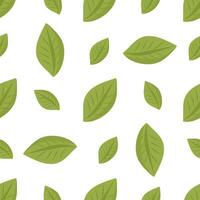 Seamless pattern with green tropical leaves in flat style on white background vector