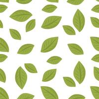 Seamless pattern with green leaves on white background, minimal botanical design vector
