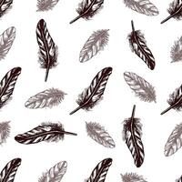 Hand drawn seamless pattern with feathers vector