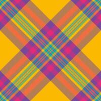 Us background check fabric, teenager textile tartan texture. 40s seamless pattern plaid in bright and violet colors. vector