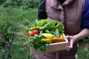 The older woman holds a box of vegetables On a sunny, beautiful day photo