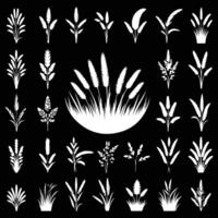 A collection of wheat and grass silhouettes on a black background vector