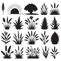 silhouettes of plants and grasses design on a white background vector