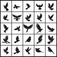 A collection of birds silhouettes in different poses design on a white background vector