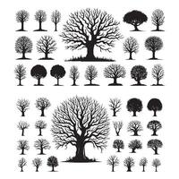 Creative collection of silhouette trees and bushes in different shapes design on a white background vector