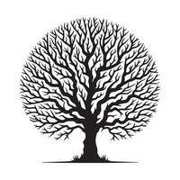 A black and white illustration of a tree with no leaves design on a white background vector