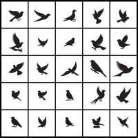 Creative birds silhouettes set of birds design on a white background vector