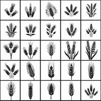 silhouette set of wheat icons on a white background vector