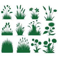 Set of Green Grass Isolated on White Background. vector