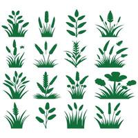 green grass silhouettes various design on a white background vector