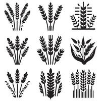 silhouette various wheat icons on a white background vector
