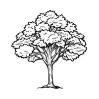 intricate tree illustration with detailed branches and foliage in black and white line art vector
