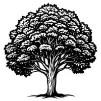 Detailed black and white tree illustration with dense foliage and branches vector