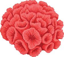 Vibrant coral formation in rich red hues showcasing intricate textures and shapes, designed in a detailed flat art style vector