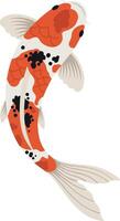 Koi fish swimming gracefully with vibrant patterns in a flat design style highlighting elegance and tranquility in art vector