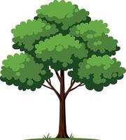 A vibrant green tree with rounded foliage and a sturdy trunk in a flat design style representing nature in art vector