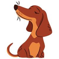 Flat illustration in a simple children's style. Cute dachshund dog sitting on white background vector