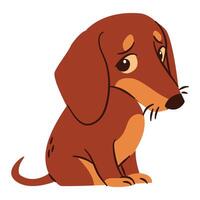 Flat illustration in a simple children's style. Cute sad dachshund dog sitting on white background vector