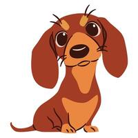 Flat illustration in a simple children's style. Cute sad dachshund dog sitting on white background vector