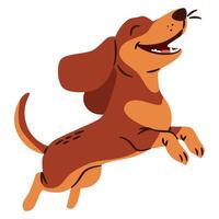 Flat illustration in a simple children's style. Cute happy dachshund dog jumping for joy vector