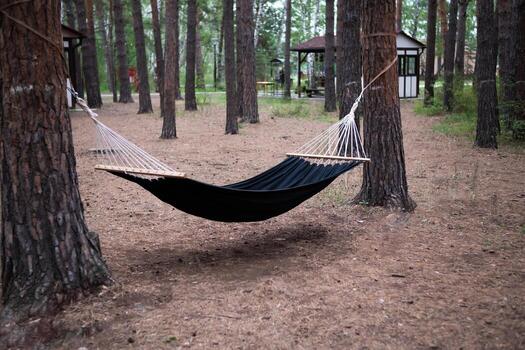 An empty hammock in the woods photo