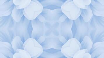 Digital Kaleidoscope Effect with Vivid Flowing Geometry video