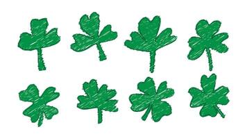 Lucky shamrock clover drawn with four leaf . Chalk sketch brush set for St Patrick trefoil. Irish Celtic luck day isolated illustration. Green graphic with crayon texture for spring holiday. vector