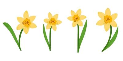 Stylized yellow daffodils with a textured effect, creating a modern and artistic botanical illustration, ideal for prints, greeting cards vector